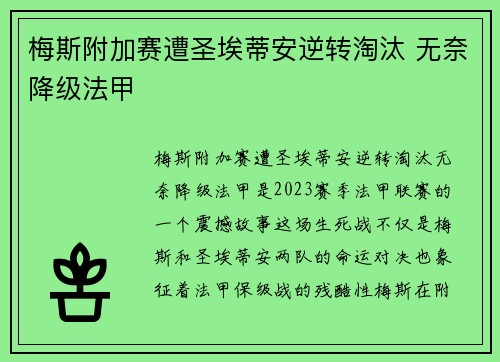 梅斯附加赛遭圣埃蒂安逆转淘汰 无奈降级法甲